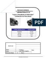 Leyes densidades minerales flujo