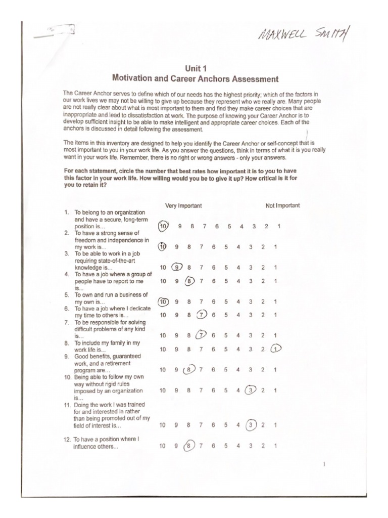 Motivation and Career Anchors Assessment PDF