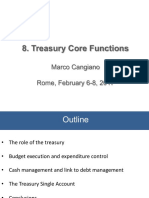 08 - Treasury Functions and Cash Management - Cangiano