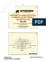 01 TALLER Lixiviación de Minerales de Cobre y Polimetálicos