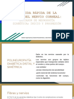 Pérdida Rápida de La Fibra Del Nervio Corneal - Marcador de Neuropatía Diabética - Inicio y Progresión