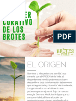 El poder curativo de los brotes y germinados