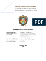 Informe N°05 - Problemática de Los Suelos en El Perú