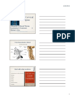 The Cervical Spine: Orthopedic & Manual Therapy Examination & Treatment: A Clinician's View