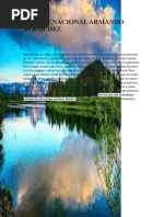 Moscosoa Volumen 7 | PDF | Los bosques | Roca (geología)