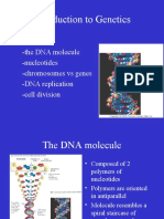 Introduction To Genetics: - The DNA Molecule - Nucleotides - Chromosomes Vs Genes - DNA Replication - Cell Division