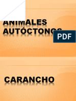 Animalesautctonosdeargentina 150621195524 Lva1 App6891