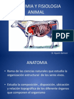 03. Anatomía y Fisiología Animal (Presentación) Autor Agustín Bertucci
