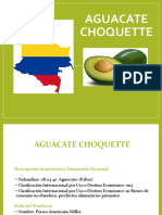 Aguacate Choquette 2