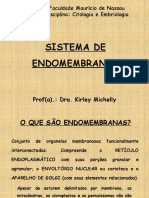 Endomembranas