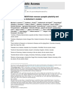 RudimarL Frozza Etal IOC 2019