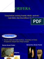 Porifera