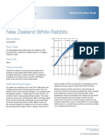 New Zealand White Rabbits: Model Information Sheet
