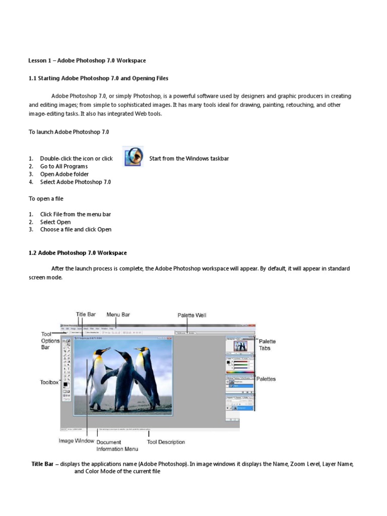 Lessons 1-3 | PDF | Adobe Photoshop | Computer Graphics