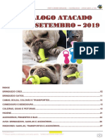 Atacado - Catálogo.setembro.2019 - Nº.60