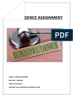 Jurisprudence Assignment -NATURE AND SCOPE OF JURISPRUDENCE