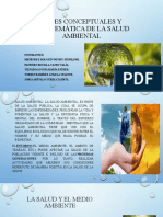 Bases Conceptuales y Problemática de La Salud Ambiental