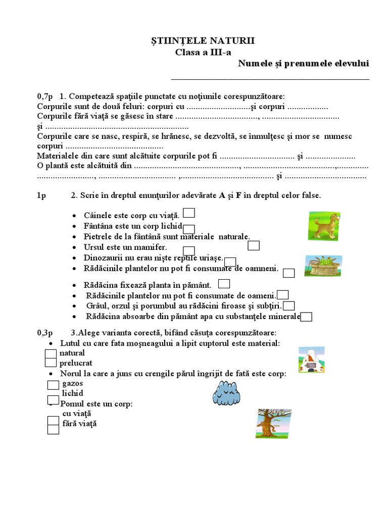 Test Stiinte Clasa 3 | PDF