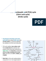 The Ri Arboxylic Cid (TCA) Cycle (Citric Acid Cycle) (Krebs Cycle)