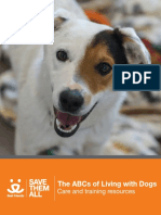 Environmental Enrichment for Dogs  Canine Behavioral Health TexVetPets