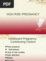 Download High Risk Pregnancy Finale by Quolette Constante SN51557289 doc pdf