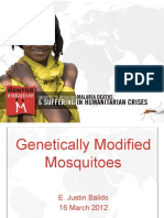 Genetically Modified Mosquito