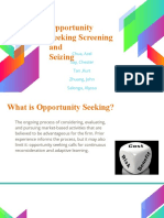 Opportunity Seeking and Seizing
