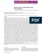 Plantar Fascia Anatomy and Its Relations