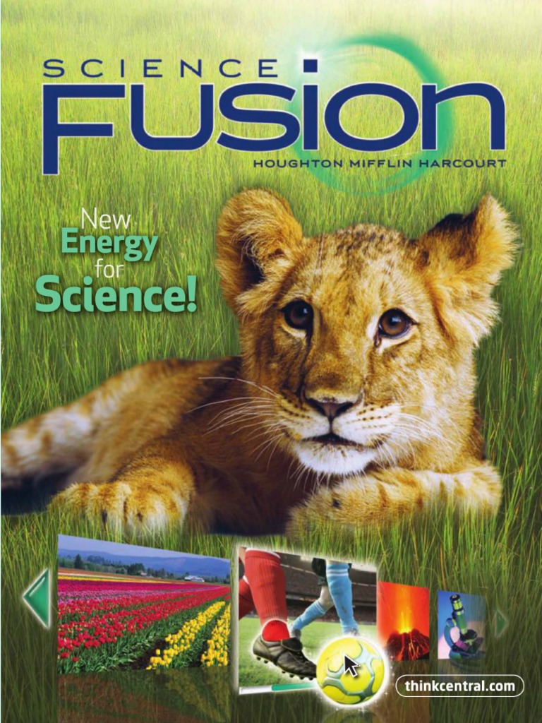 インターナショナルスクール教材　G1〜G4 Houghton Mifflin English file 4th edition elementary; student's book with