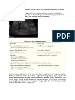 Mengapa USG pada appendisitis tampak sebagai lesi target + tidak leukositosis