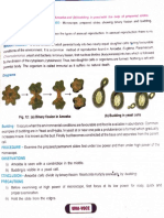 Binary Fission: Study (A and Material and