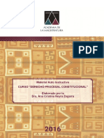 376749621 Manual Derecho Procesal Constitucional