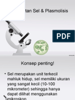 Praktikum Pengamatn Sel Dan Plasmolisis