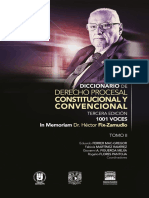 Diccionario Procesal Constitucional y Convencional. Tomo II