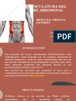 Oblicuo Externo - Anastacia Barraza