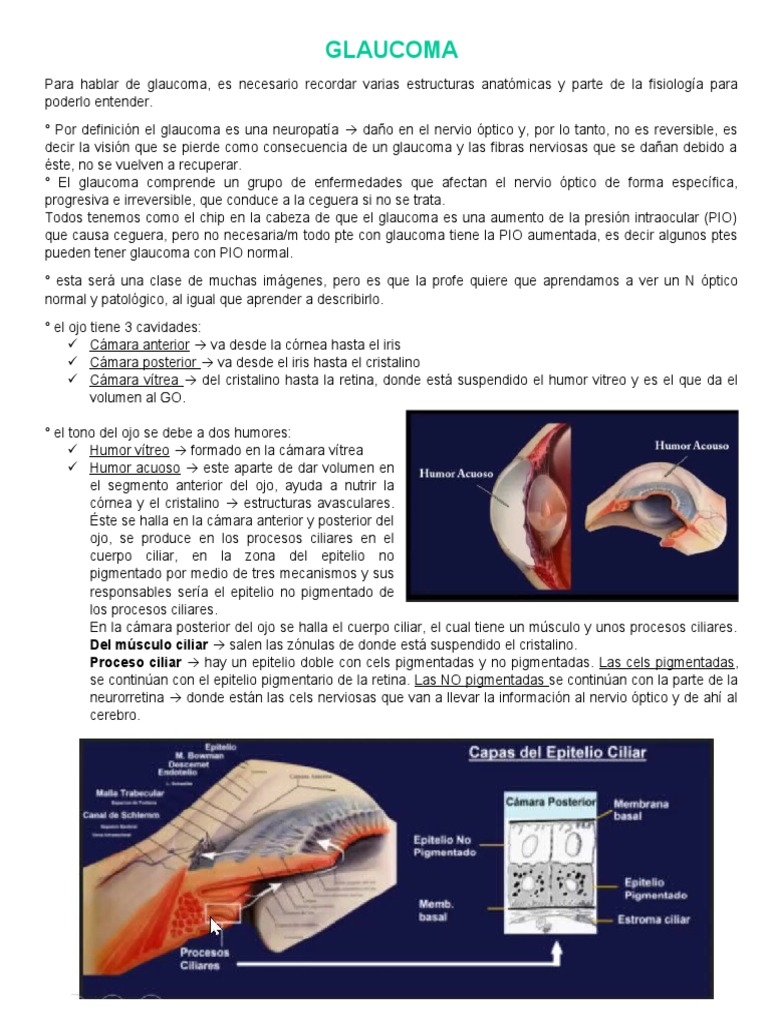 Glaucoma: Anatomía y Fisiología Ocular | PDF | Glaucoma | Ojo humano