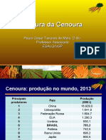 Aula de Cenoura