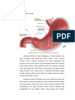 LP Gastritis