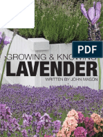 Lavanda Growing Lavender