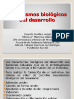 02 Mecanismos Biológicos Del Desarrollo