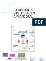 P-Biopelícula Unidad 3