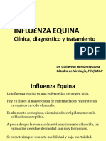 - Influenza equina 2015