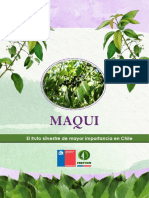 Maqui Infor