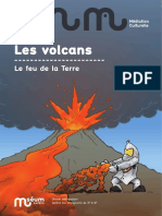 Les Volcans: Le Feu de La Terre