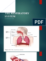Respiratory+digestive System