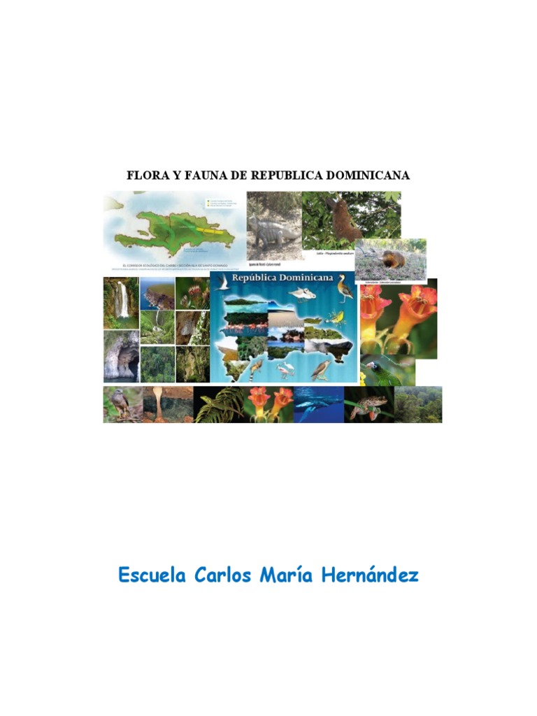 Flora y Fauna de Republica Dominicana | PDF | Los bosques | República ...