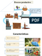 Proceso Productivo