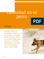 Cv 41 Obesidad en El Perro