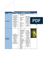 Organelas No Membranosas