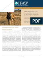 IFAW CITES BRIEFING SHEET - LION - Spanish